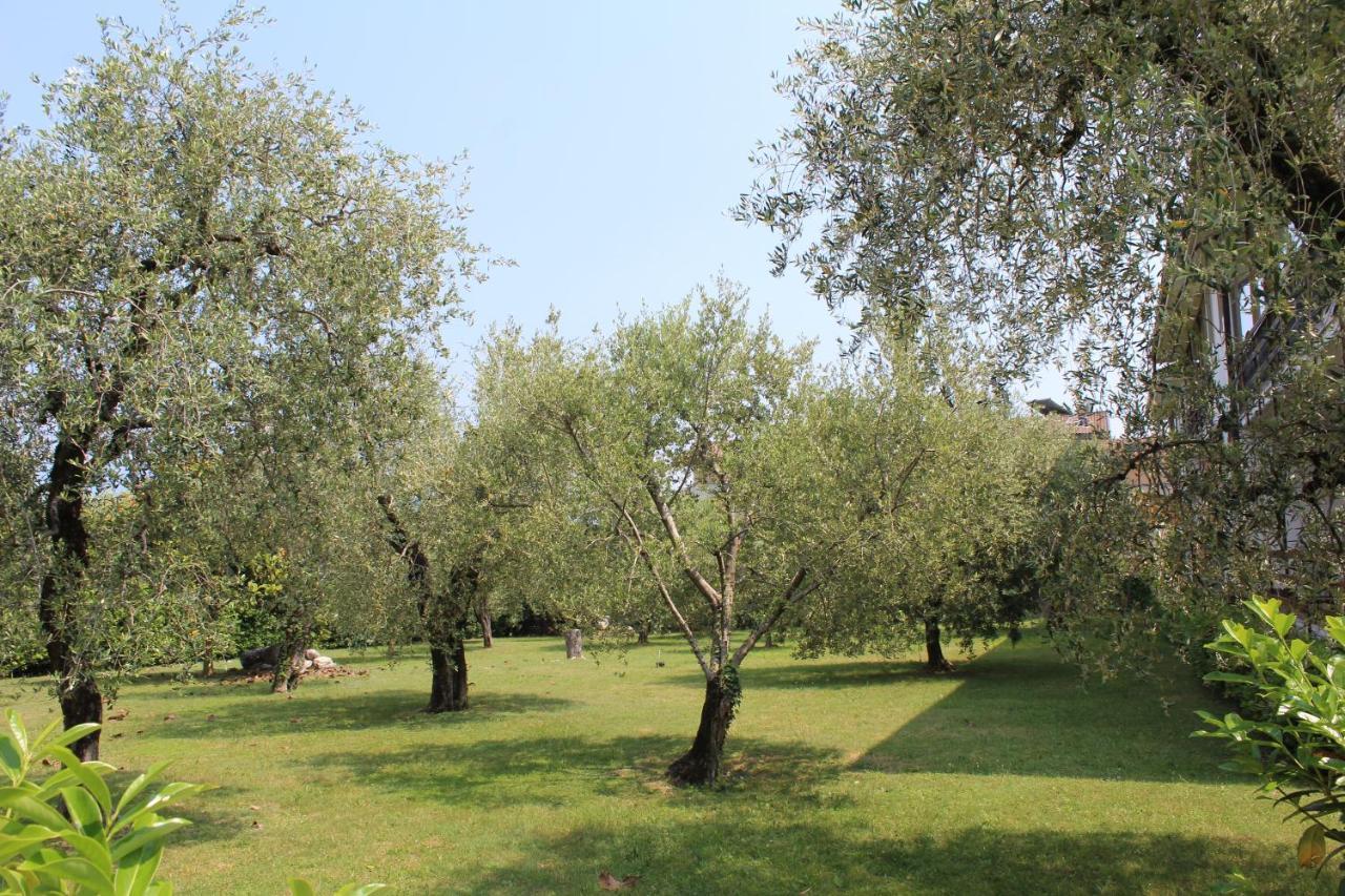 Apartament Casa Biancoliva Toscolano Maderno Zewnętrze zdjęcie